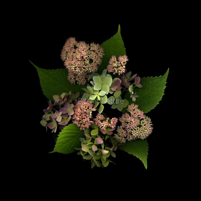 Corsage II